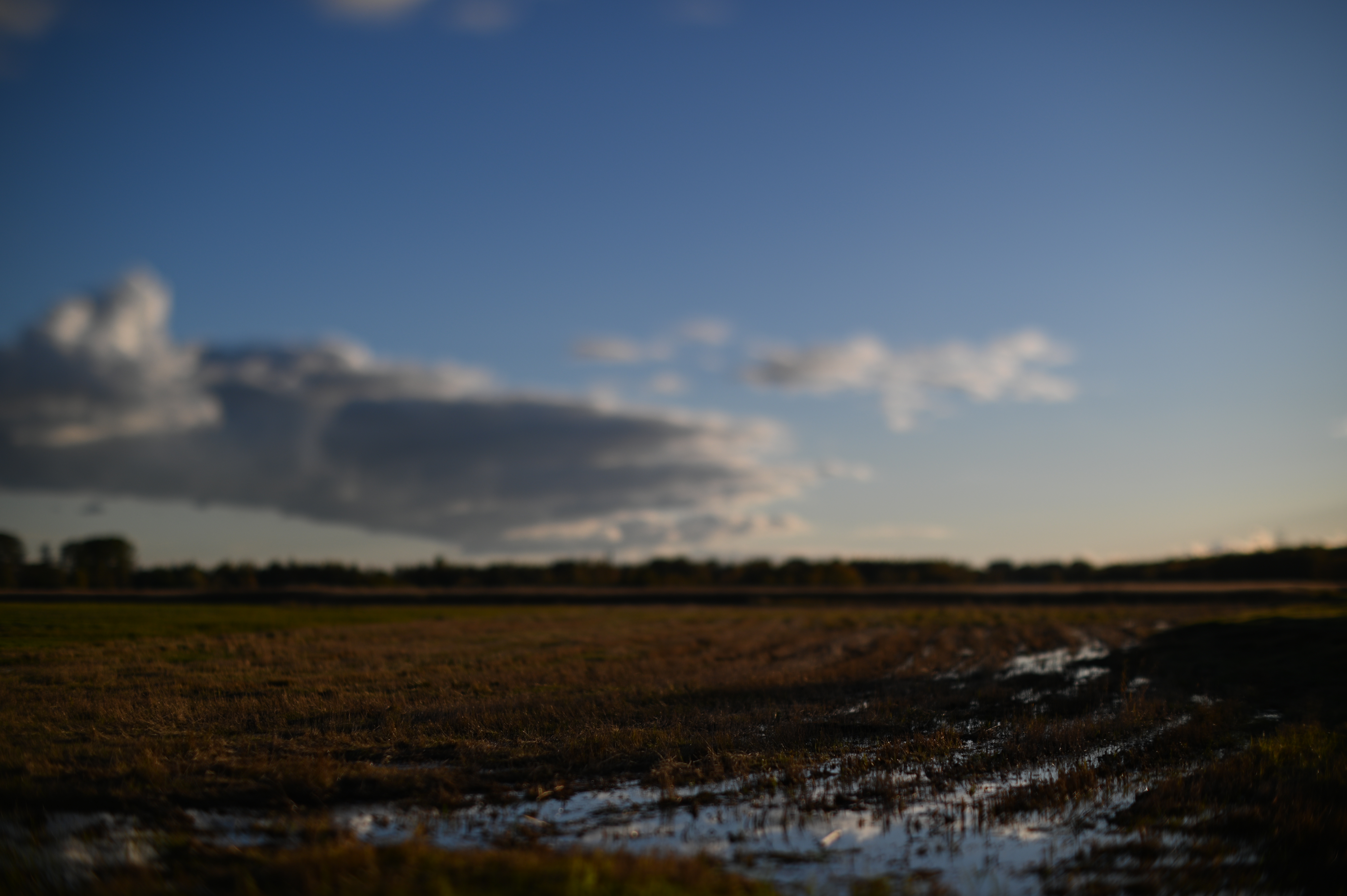 2025/10/18 - walk/DSC_0187.JPG